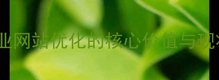 图片 太仓企业网站优化的核心价值与现状分析2