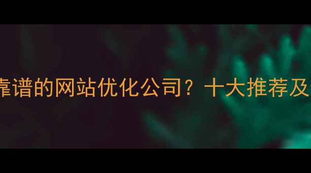 图片 如何选择靠谱的网站优化公司？十大推荐及避坑指南2