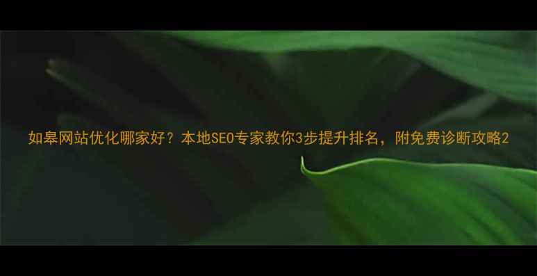 图片 如皋网站优化哪家好？本地SEO专家教你3步提升排名，附免费诊断攻略2