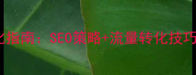 图片 威海本地企业网站推广优化指南：SEO策略+流量转化技巧，助您快速提升搜索排名2