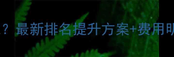 图片 孝感网站优化多少钱？最新排名提升方案+费用明细（附免费诊断）1