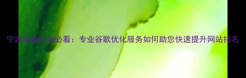 图片 宁波本地企业必看：专业谷歌优化服务如何助您快速提升网站排名