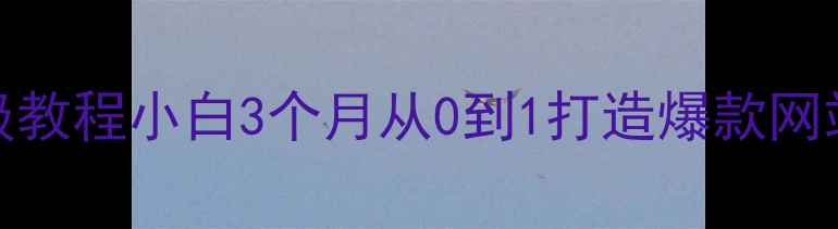 图片 安徽SEO优化保姆级教程小白3个月从0到1打造爆款网站（附实战案例）2