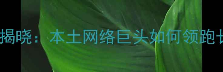 图片 安徽互联网企业排名揭晓：本土网络巨头如何领跑长三角数字经济发展2
