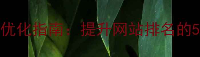 图片 安阳本地SEO优化指南：提升网站排名的5大核心策略1