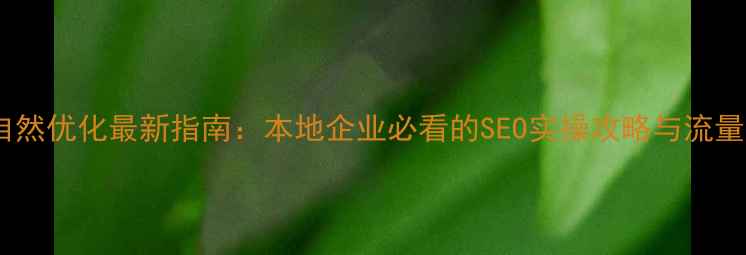 图片 安阳网站自然优化最新指南：本地企业必看的SEO实操攻略与流量增长策略2