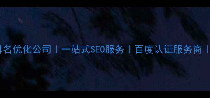 图片 宜昌专业网站排名优化公司｜一站式SEO服务｜百度认证服务商｜提升本地流量2