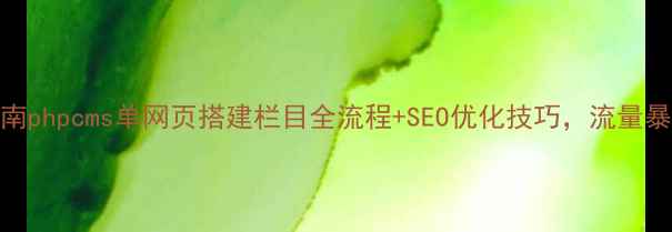 图片 实战指南phpcms单网页搭建栏目全流程+SEO优化技巧，流量暴涨秘籍