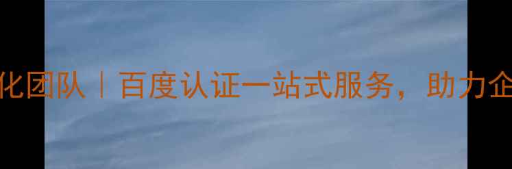 图片 山东专业网站优化团队｜百度认证一站式服务，助力企业网站流量暴涨