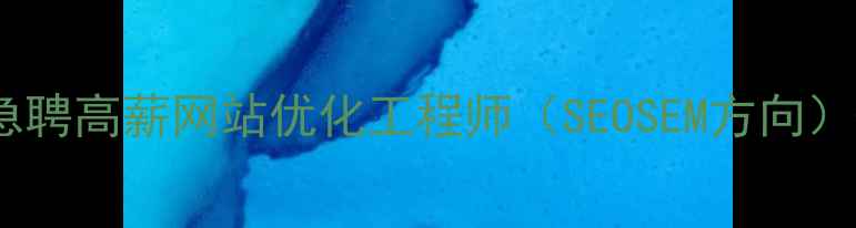 图片 岫岩本地企业急聘高薪网站优化工程师（SEOSEM方向）-3年经验优先2