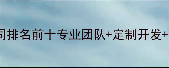 图片 广东商城开发公司排名前十专业团队+定制开发+全流程服务指南2