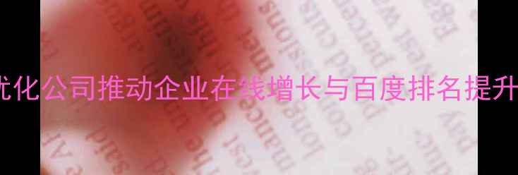 图片 廊坊专业网站优化公司推动企业在线增长与百度排名提升的实战指南_12