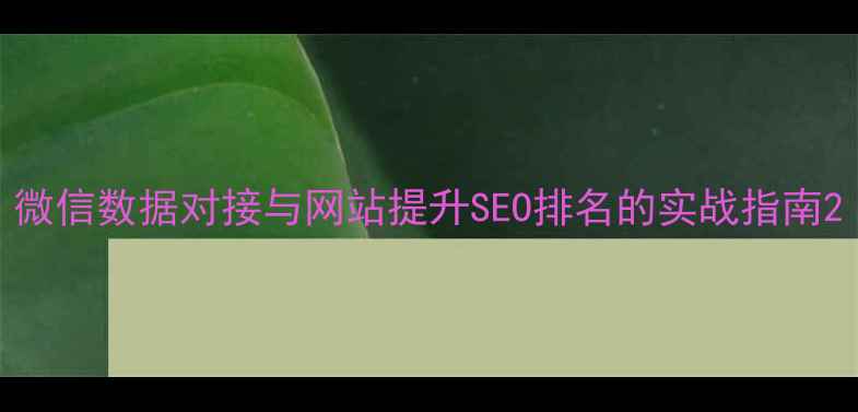 图片 微信数据对接与网站提升SEO排名的实战指南2