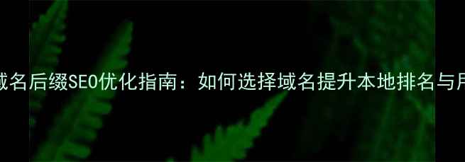 图片 德国网站域名后缀SEO优化指南：如何选择域名提升本地排名与用户信任度