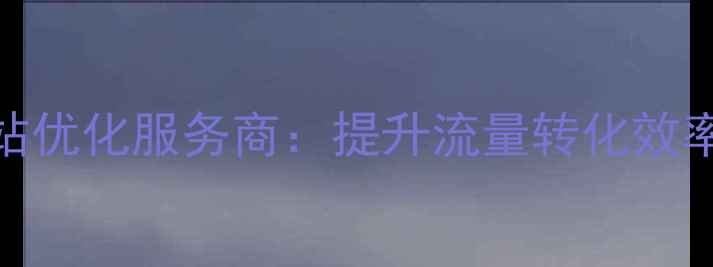 图片 必选的3大网站优化服务商：提升流量转化效率的实战指南1