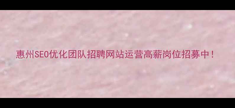 图片 惠州SEO优化团队招聘网站运营高薪岗位招募中！