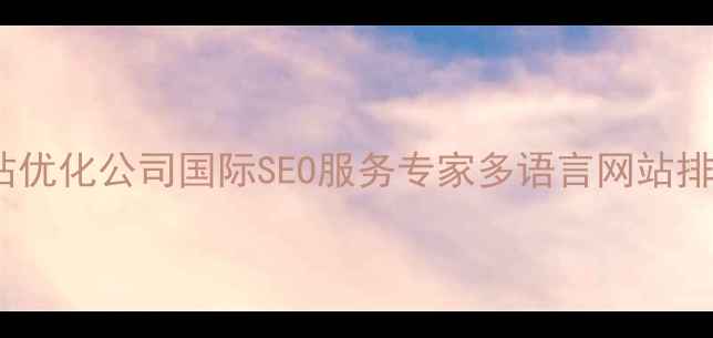 图片 惠州海外网站优化公司国际SEO服务专家多语言网站排名提升指南1