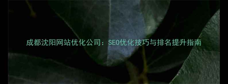 图片 成都沈阳网站优化公司：SEO优化技巧与排名提升指南
