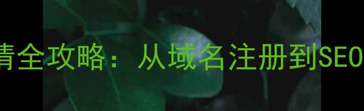 图片 手机网站空间申请全攻略：从域名注册到SEO优化的完整指南1