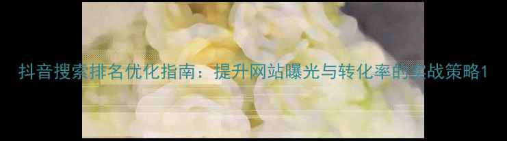 图片 抖音搜索排名优化指南：提升网站曝光与转化率的实战策略1