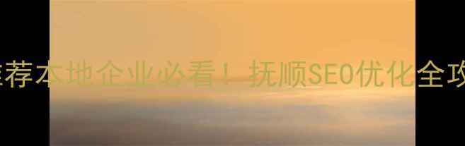图片 抚顺网站优化公司推荐本地企业必看！抚顺SEO优化全攻略（附免费诊断）1