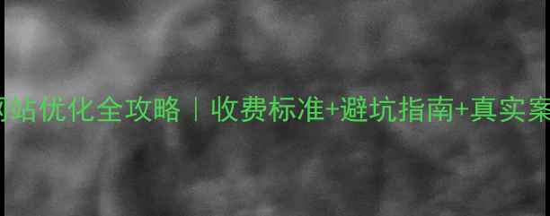 图片 新北区网站优化全攻略｜收费标准+避坑指南+真实案例拆解2