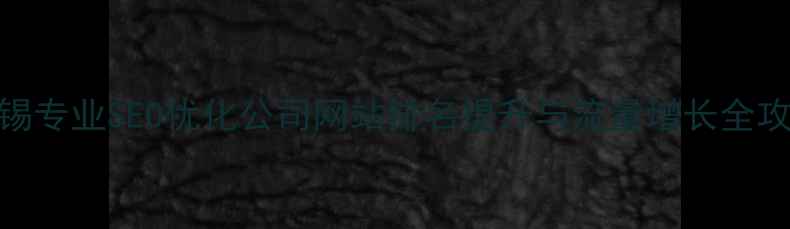 图片 无锡专业SEO优化公司网站排名提升与流量增长全攻略