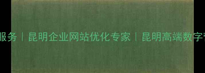 图片 昆明SEO外包服务｜昆明企业网站优化专家｜昆明高端数字营销解决方案
