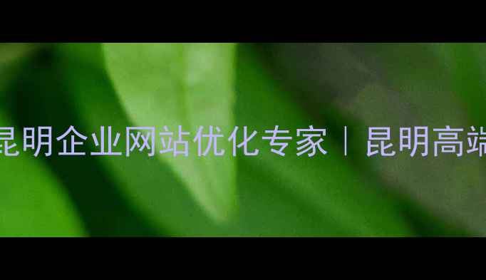 图片 昆明SEO外包服务｜昆明企业网站优化专家｜昆明高端数字营销解决方案1