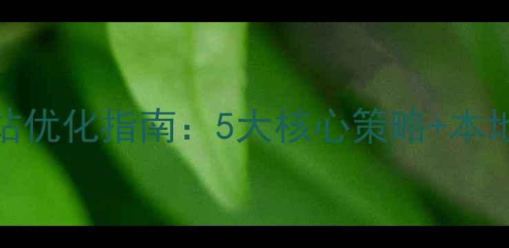 图片 普兰店企业网站优化指南：5大核心策略+本地SEO实战案例1
