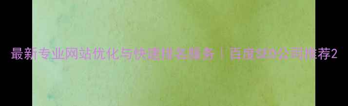 图片 最新专业网站优化与快速排名服务｜百度SEO公司推荐2