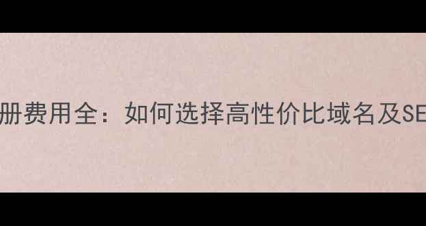 图片 最新域名注册费用全：如何选择高性价比域名及SEO优化技巧2