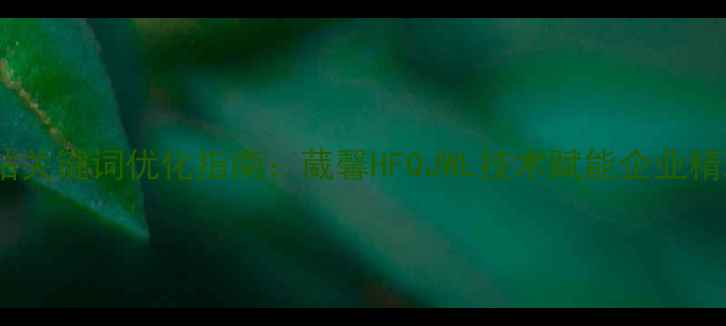 图片 最新网站关键词优化指南：葳馨HFQJWL技术赋能企业精准获客1