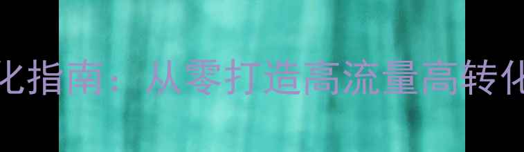 图片 最新网站建设与SEO优化指南：从零打造高流量高转化网站（附实操案例）1