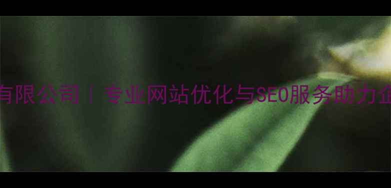 图片 来啊网络科技有限公司｜专业网站优化与SEO服务助力企业数字化转型