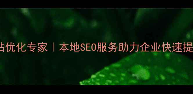 图片 枝江网站优化专家｜本地SEO服务助力企业快速提升排名2