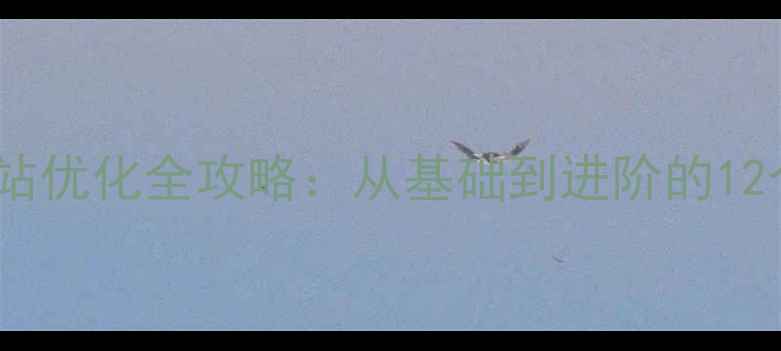 图片 核心系列网站优化全攻略：从基础到进阶的12个实战技巧1
