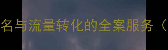 图片 武城网站优化公司专业提升本地排名与流量转化的全案服务（含技术诊断+内容营销+数据追踪）