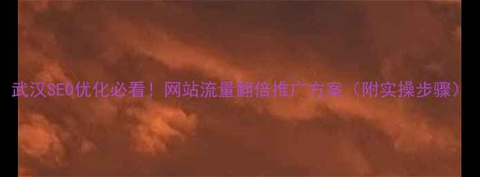 图片 武汉SEO优化必看！网站流量翻倍推广方案（附实操步骤）