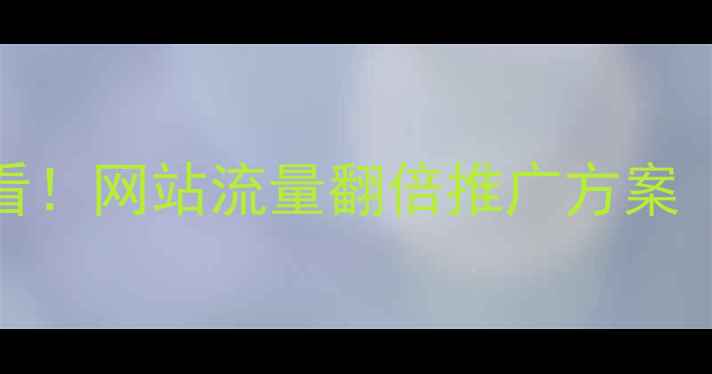 图片 武汉SEO优化必看！网站流量翻倍推广方案（附实操步骤）2