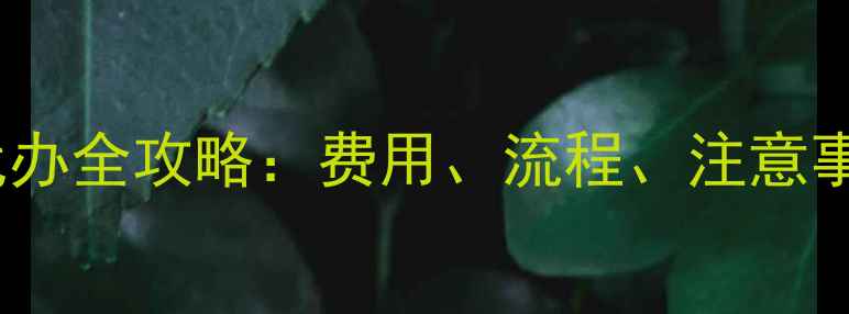图片 武汉注册公司代办全攻略：费用、流程、注意事项及最新政策1