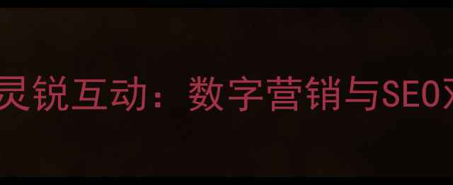 图片 武汉网络公司排名｜灵锐互动：数字营销与SEO双引擎驱动企业增长2