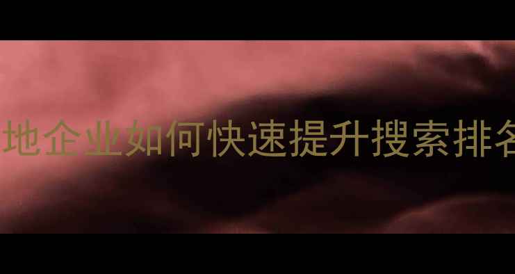 图片 永州百度网站优化专家：本地企业如何快速提升搜索排名与转化率（含实战案例）1