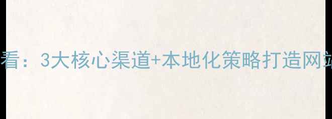 图片 江苏企业必看：3大核心渠道+本地化策略打造网站流量引擎2
