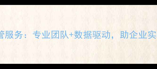 图片 江苏网站优化托管服务：专业团队+数据驱动，助企业实现流量翻倍增长1