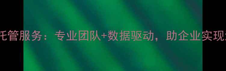 图片 江苏网站优化托管服务：专业团队+数据驱动，助企业实现流量翻倍增长2