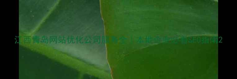 图片 江西青岛网站优化公司服务全｜本地企业必看SEO指南2