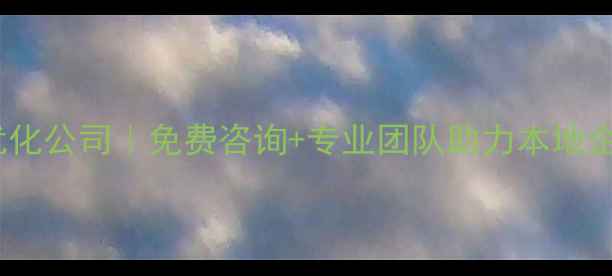 图片 汤阴县网站优化公司｜免费咨询+专业团队助力本地企业流量翻倍1
