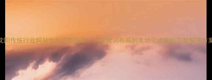 图片 沈阳传统行业网站优化实战指南：从关键词布局到本地化运营的完整解决方案
