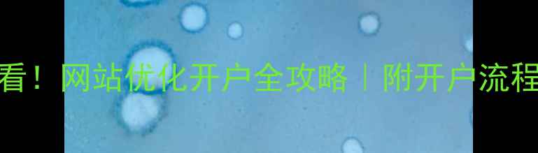 图片 河北企业必看！网站优化开户全攻略｜附开户流程+避坑指南2